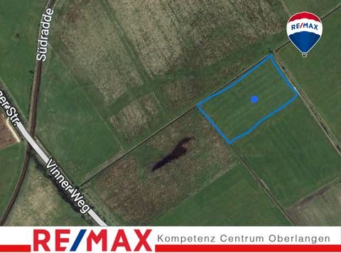 Löningen Bauernhöfe, Landwirtschaft, Löningen Forstwirtschaft