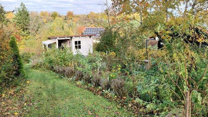 Gemüsegarten mit Gartenhaus