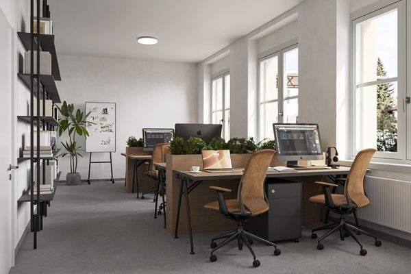 Beispielbild Büro 1