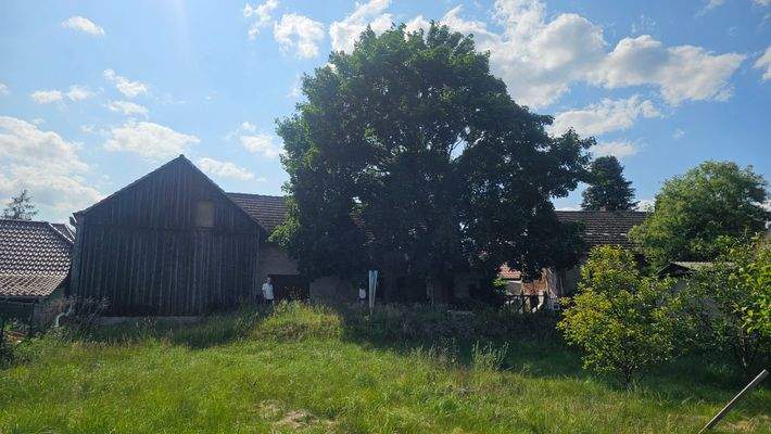 Rückseite Scheune.jpg