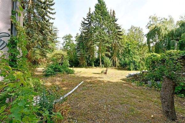 Grundstück in Richtung Panke