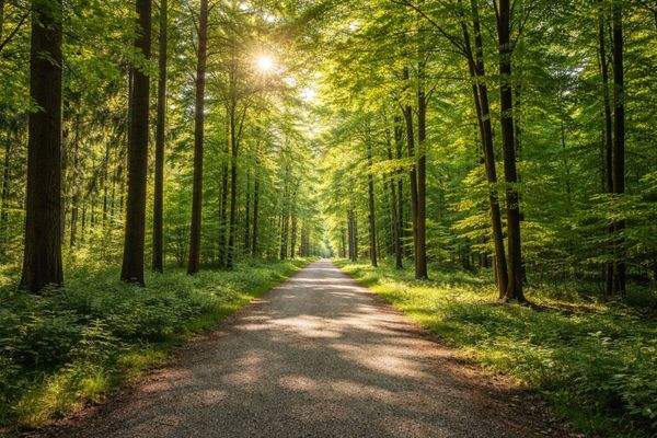 Perlacher Forst- KI Bild