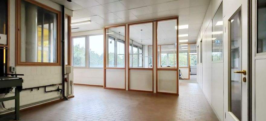 OG_Produktionsflächen_Blick_0