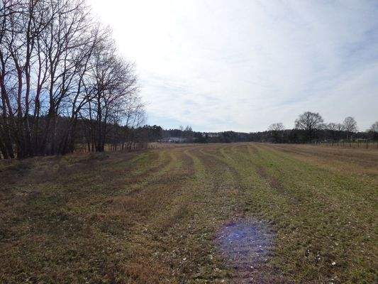 Landwirtschaftsfläche ca. 6.000m²