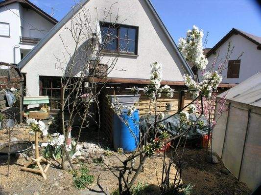 Garten mit Gewächshaus