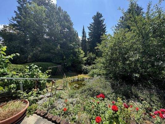 wunderschön eingewachsen