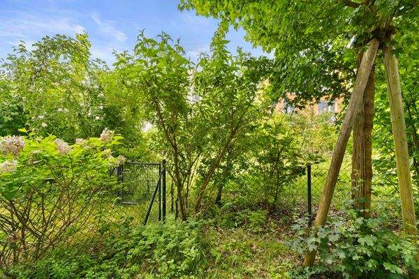 Zweiter, kleiner Garten