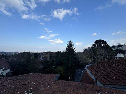 20250325_144707273_iOS