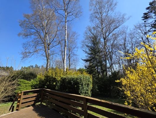 Garten_2