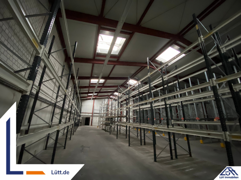 Kiel Halle, Kiel Hallenfläche