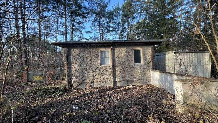 1123-2024-12-15 040.jpg