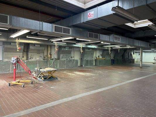 WhatsApp Image 2025-06-19 at 11.54.26(1)