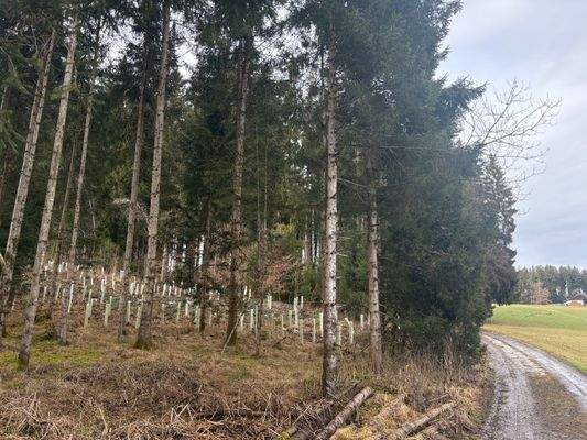 2026-02-12 13.46.07.jpg