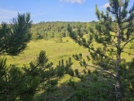 a9e4e11d-aca5-431c-a5f2-db4d322f1cde