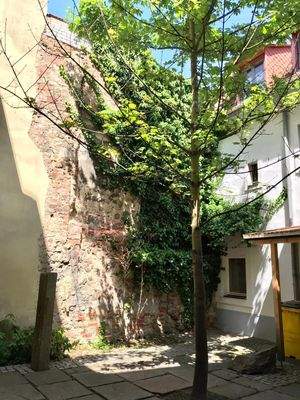 IMG-20210603-WA0014