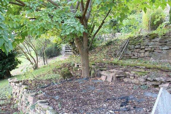 Auszug aus Gartenbereich