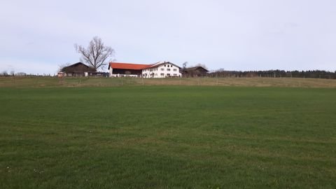 Hohenlinden Bauernhöfe, Landwirtschaft, Hohenlinden Forstwirtschaft