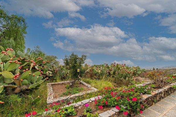 Garten und Meerblick