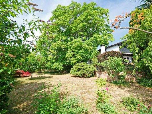 im östlichen Garten