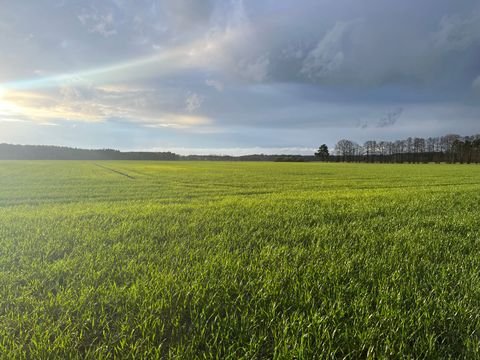 Arendsee (Altmark) Bauernhöfe, Landwirtschaft, Arendsee (Altmark) Forstwirtschaft