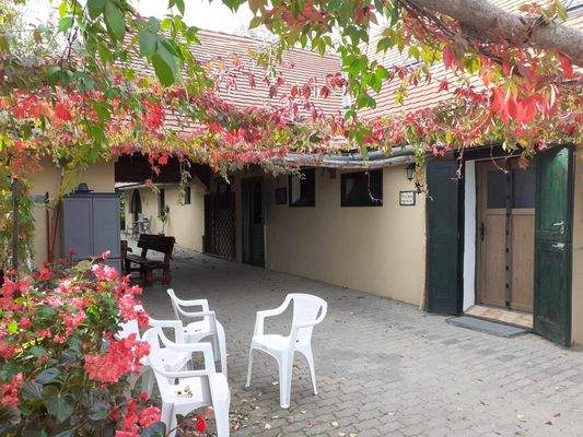 429598561_1139201873917459_3364948598339328526_n.j