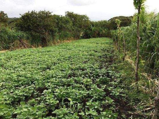 ImmoScout360 GARTEN Arenal See