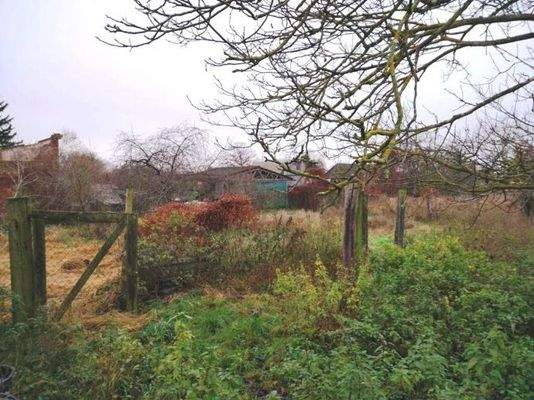 Blick über das Grundstück Bild 3