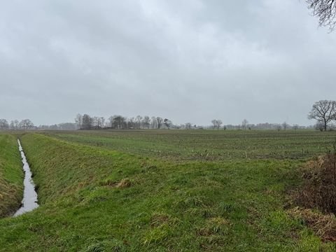 Vreden Bauernhöfe, Landwirtschaft, Vreden Forstwirtschaft