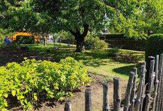 Blick in den Garten