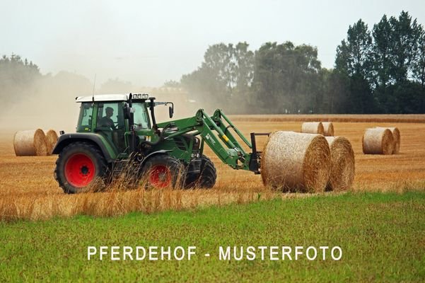 Professioneller Pferdehof in RLP / SL - MUSTERFOTO