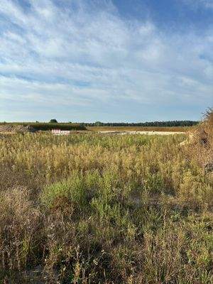 WhatsApp Image 2025-09-11 at 12.13.14 (3)