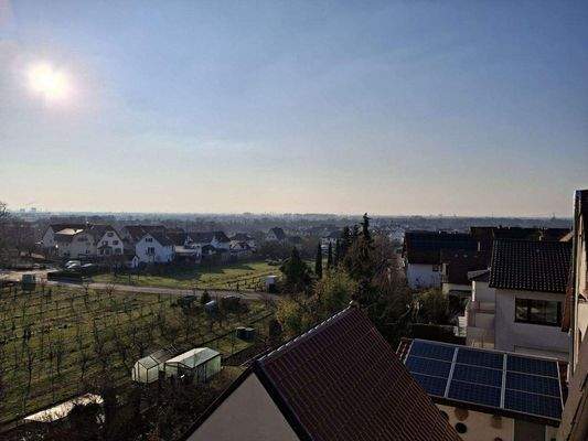 Blick in die Rheinebene.jpg