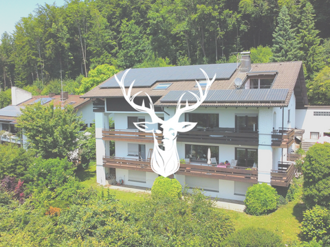 Waldshut-Tiengen Renditeobjekte, Mehrfamilienhäuser, Geschäftshäuser, Kapitalanlage