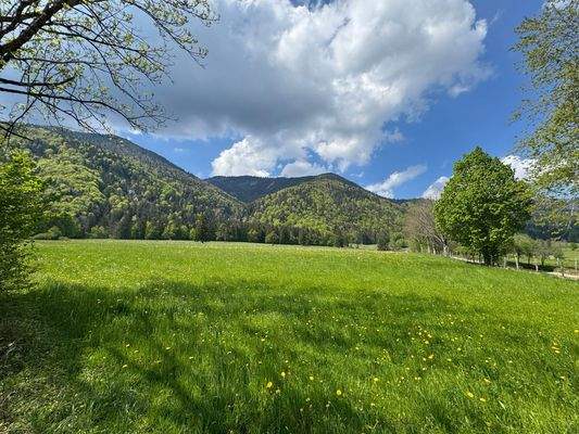 Wandern und Radeln nebenan