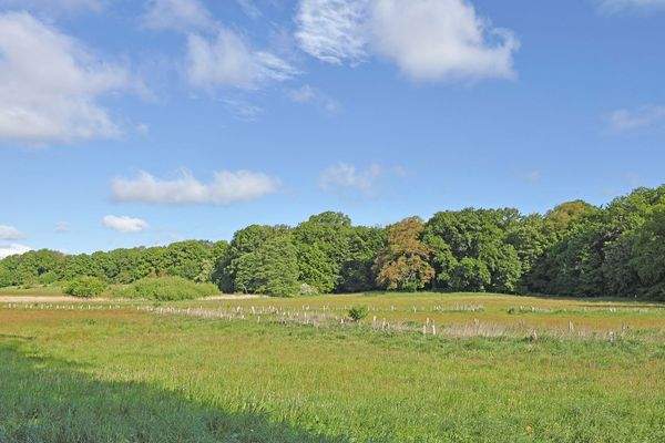 Leben im Grünen: Sasel und Volksdorf