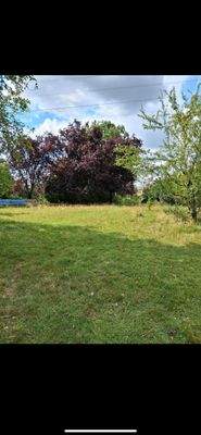 WhatsApp Image 2025-08-02 at 21.25.05