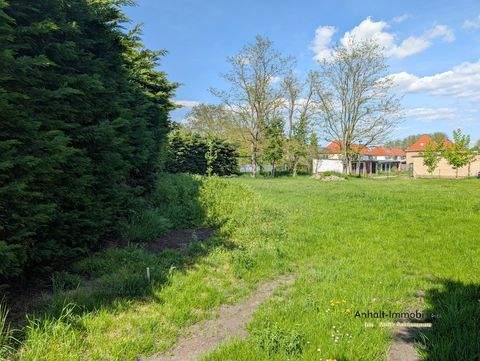 Bitterfeld Grundstücke, Bitterfeld Grundstück pachten
