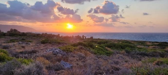 Kreta, Sisi: Wunderschönes Anwesen direkt am Meer 