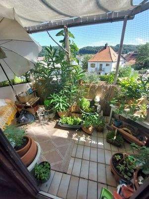 schöner Balkon,  sehr viel "grün" gepflanzt