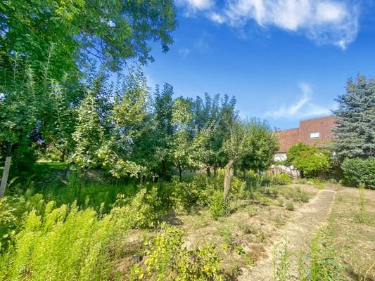 Garten mit Blick zum Haus