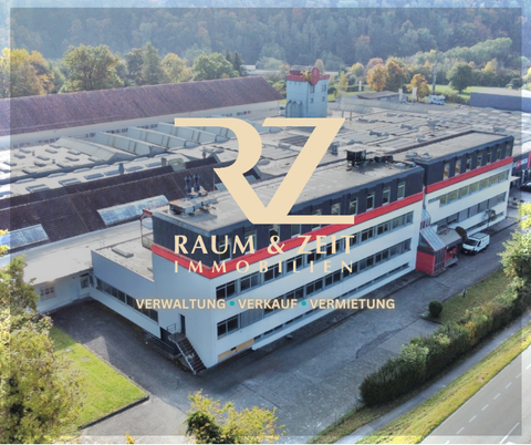 Waldshut-Tiengen Halle, Waldshut-Tiengen Hallenfläche