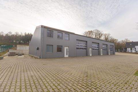 Menden Halle, Menden Hallenfläche