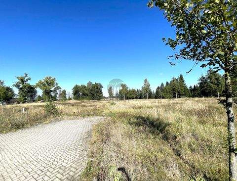 Lachendorf Industrieflächen, Lagerflächen, Produktionshalle, Serviceflächen