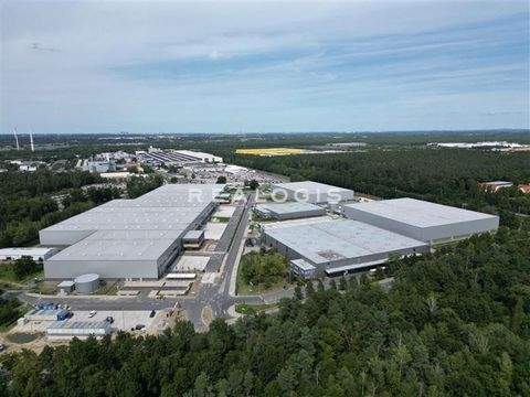 Ludwigsfelde Halle, Ludwigsfelde Hallenfläche