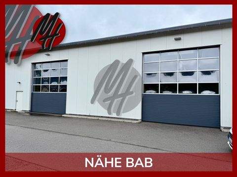 Alzenau Halle, Alzenau Hallenfläche