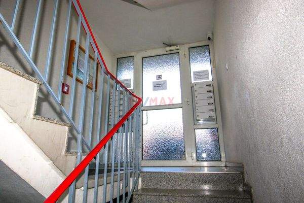 203 - LU-Fra-Allgemein