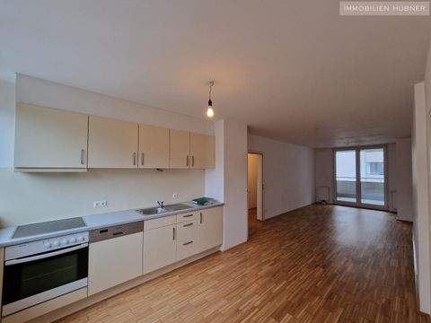 Wien Wohnungen, Wien Wohnung mieten