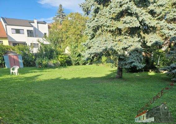 WhatsApp Bild 2025-09-14 um 16.48.56_1b09e4ef