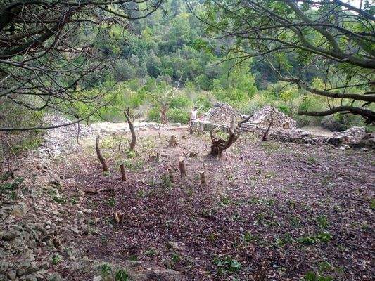 Eine Oase der Glückseligkeit