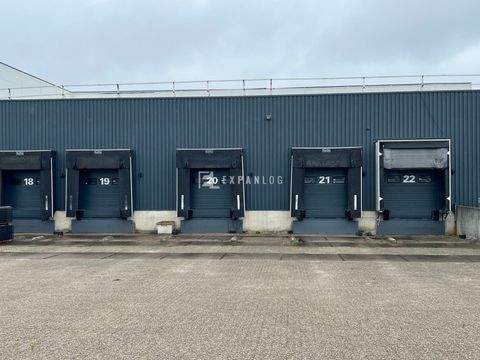 Kerpen Halle, Kerpen Hallenfläche